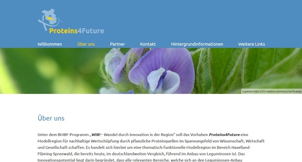 Webdesign und Umsetzung einer Wordpress-Website für das Forschungsprojekt Proteins4Future