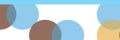 Programmierung, CMS, Wordpress