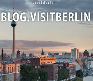 Betreuung, Webentwicklung, Wartung, Wordpress