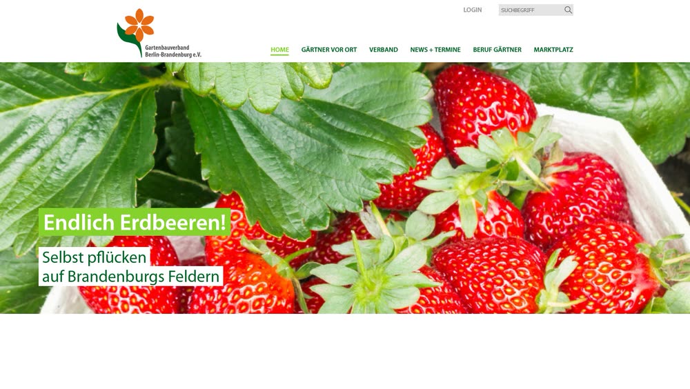 Screenshot 1: Realisierung einer Verbandswebsite mit Wordpress