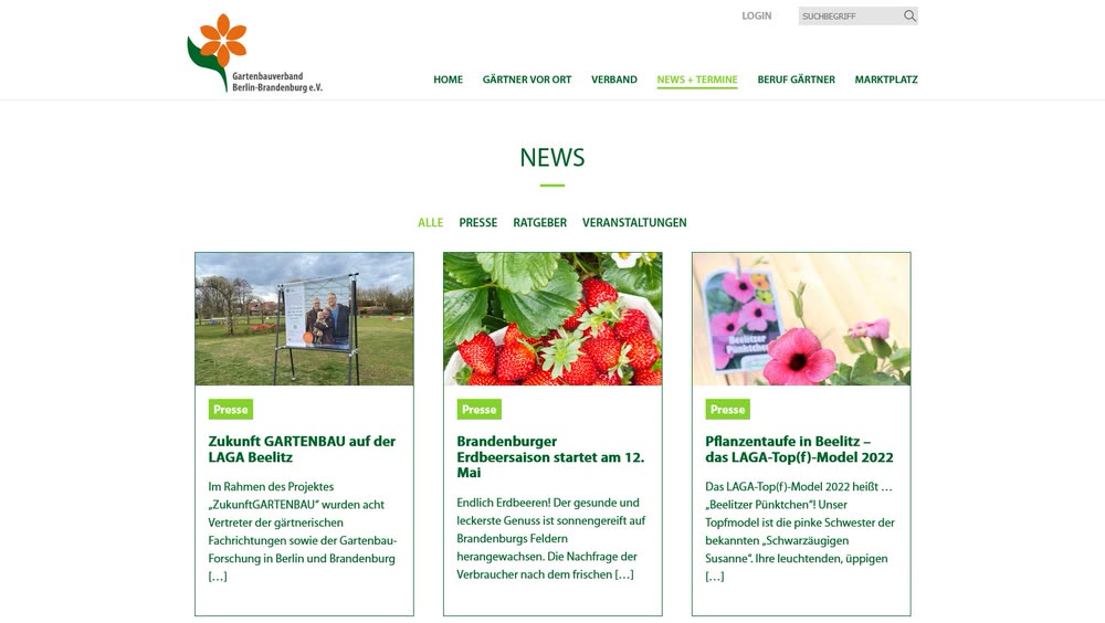 Screenshot 3: Realisierung einer Verbandswebsite mit Wordpress