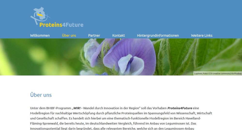 Screenshot 1: Webdesign und Umsetzung einer Wordpress-Website für das Forschungsprojekt Proteins4Future